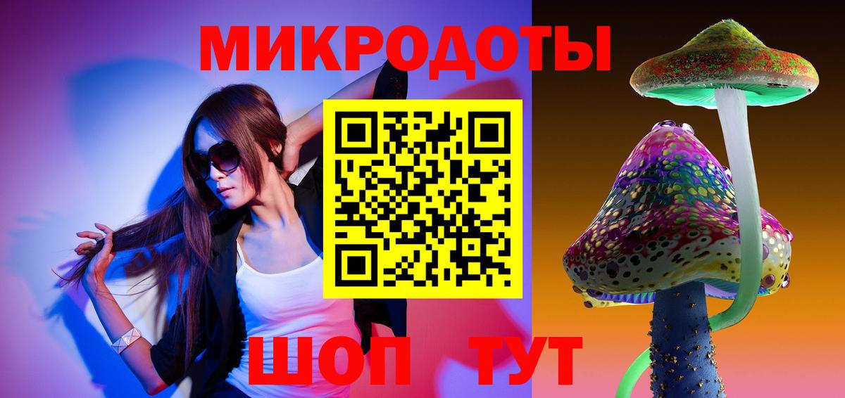 Галлюциногенные грибы Psilocybine cubensis Выборг