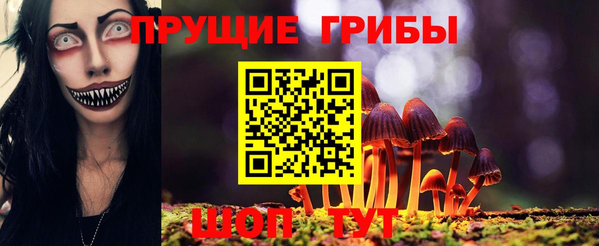 Псилоцибиновые грибы ЛСД  как найти закладки  Выборг  Вход с VPN  Псилоцибиновые грибы MAGIC MUSHROOMS 