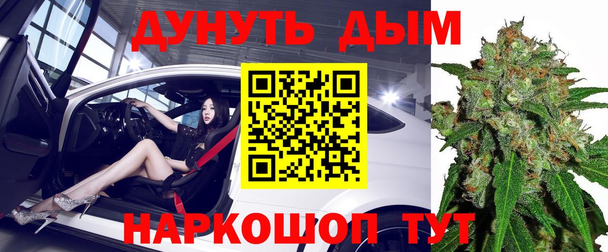 Конопля гибрид  Вход с VPN  Выборг  Канабис Ganja  Бошки марихуана планчик 